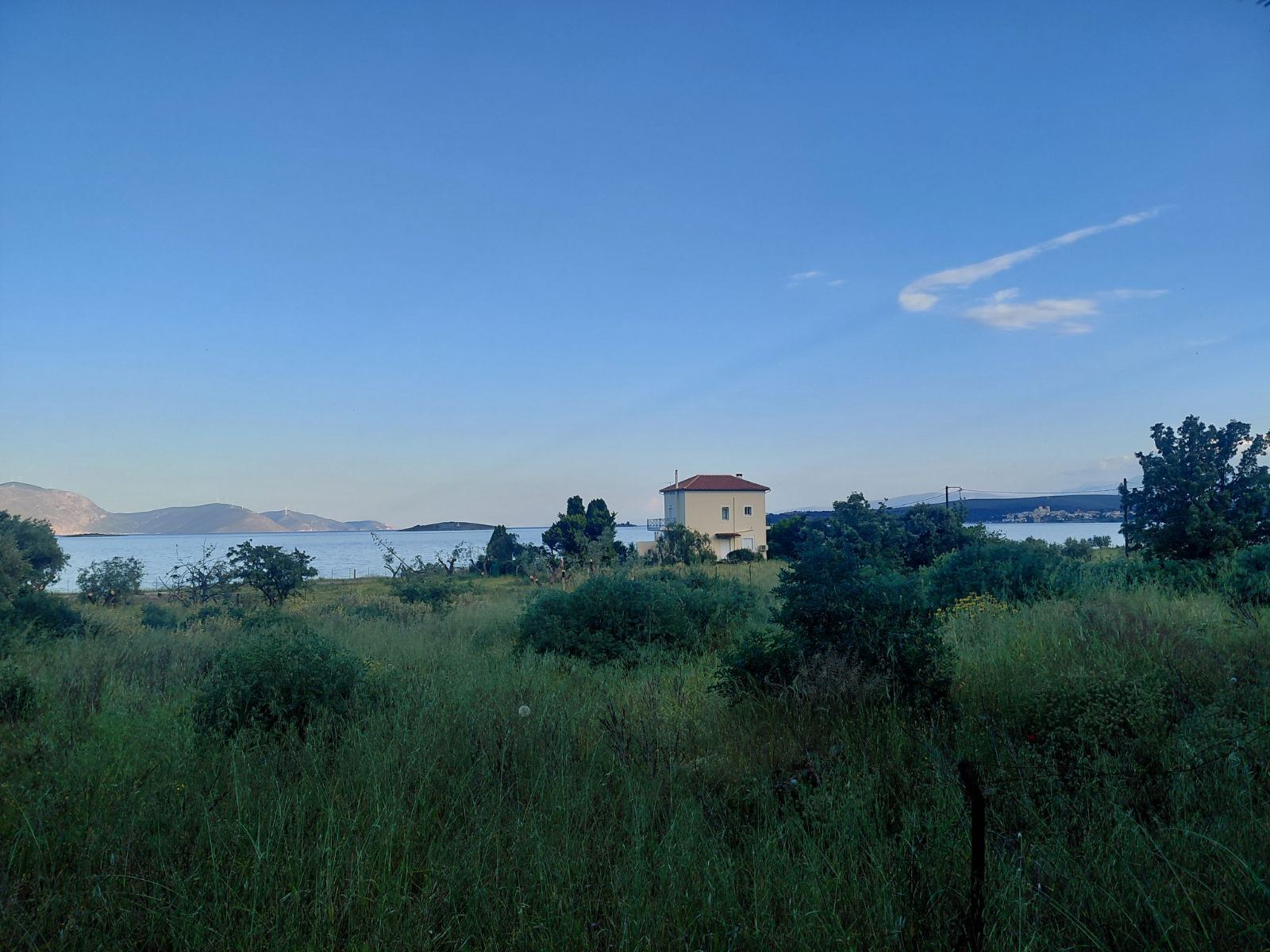 The plot edge with the bay and a neighbouring house