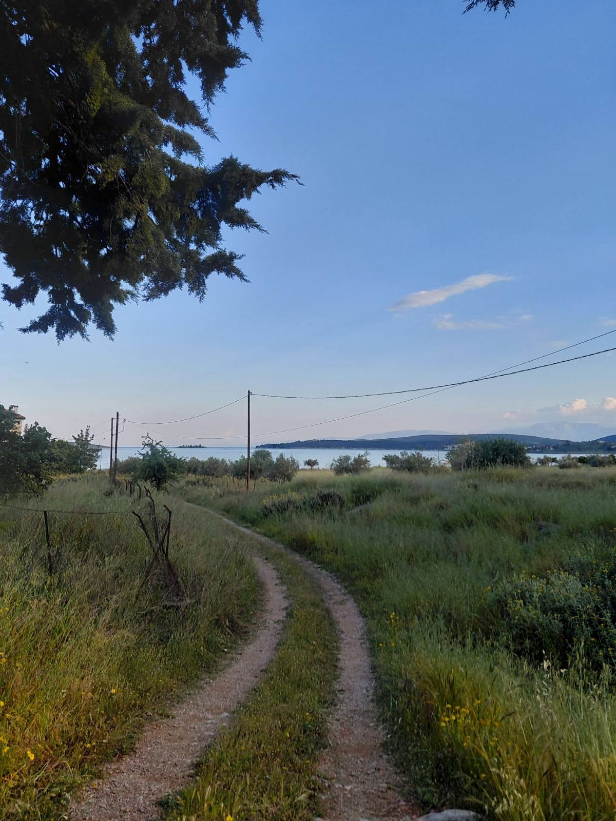 Track leading from the plot down to the sea